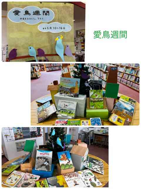 愛鳥週間
